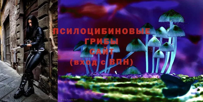 Галлюциногенные грибы Psilocybe  Галич 